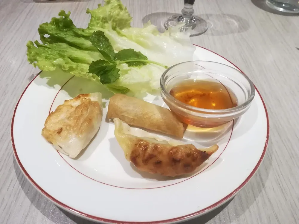 Nem Ravioli Gyoza